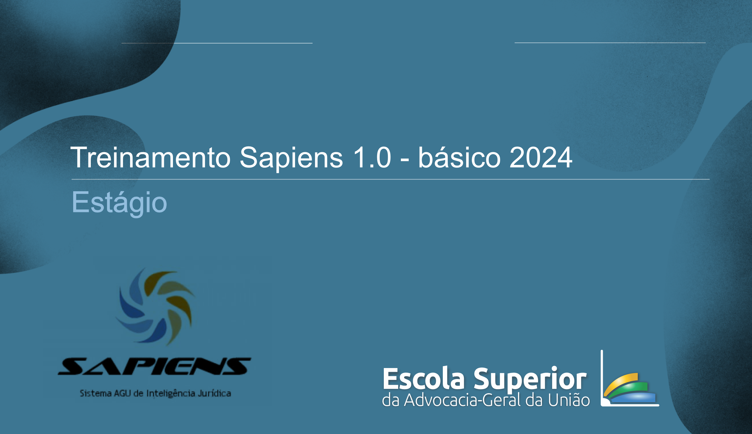 Treinamento Sapiens 1.0 - básico 2024